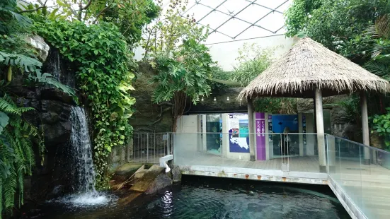 栃木県なかがわ水遊園