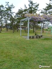 Matsunami Daiichi Park
