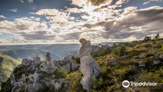 Office of Larzac and Valleys Tourism