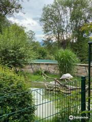 Tierpark Bad Liebenstein