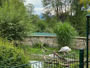 Tierpark Bad Liebenstein