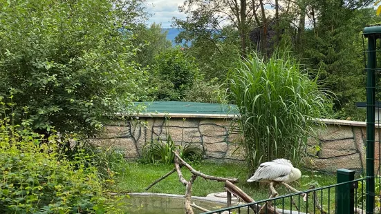 バート・リーベンシュタイン e.V.動物園