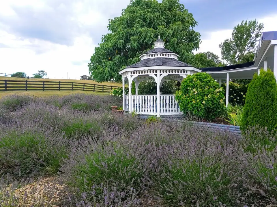 3_White Oak Lavender Farm