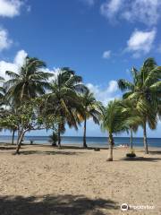 Plage De Madiana