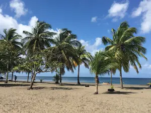 Plage de Madiana