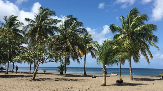 Plage de Madiana