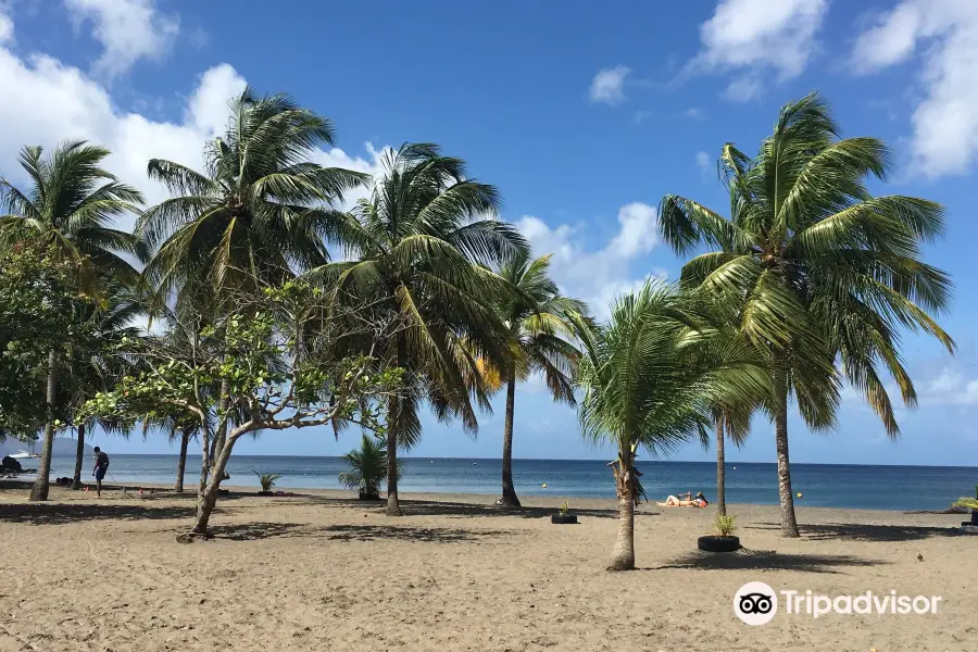 Plage de Madiana