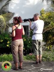 The Sustainable Birding Company