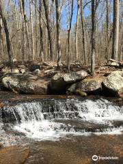 Collins Creek Cascade