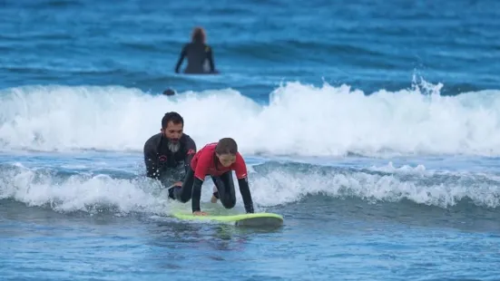 Koala Surf School