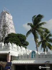 Sri Veera Venkata Sathyanarayana Swamy Vari Devasthanam