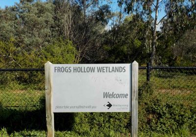 Frog's Hollow Wetlands