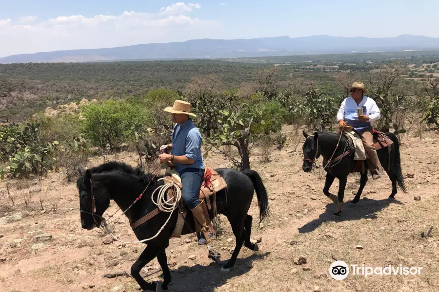 Cabalgatas Las Haciendas