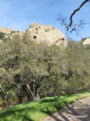 Diablo Foothills Regional Park