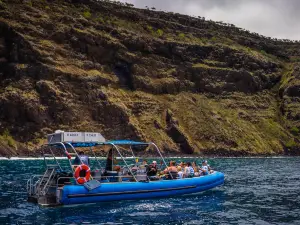 Dolphin Discoveries- Snorkel Tour Check-in and Boutique