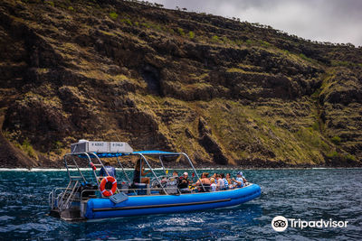 Dolphin Discoveries- Snorkel Tour Check-in and Boutique