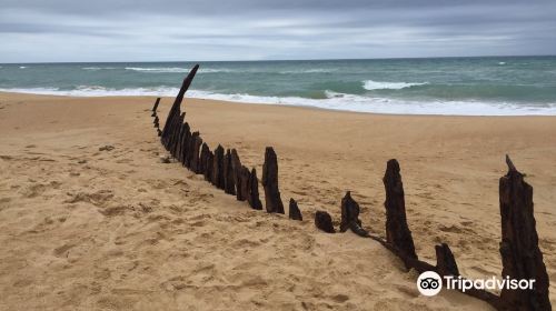 Trinculo Shipwreck