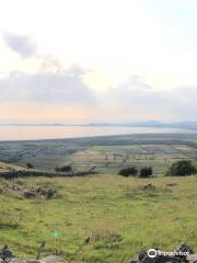 Merthyr Farm Campsite