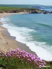 Bantham Beach