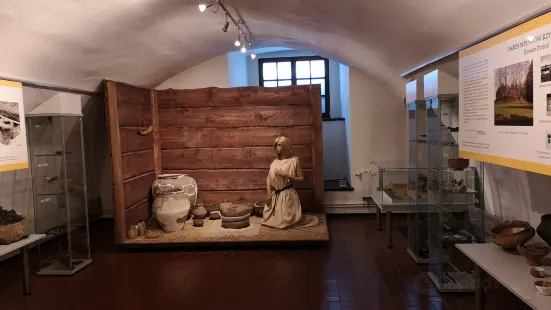 Museum of Wielun