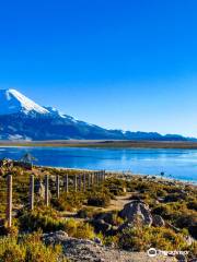 Lago Chungara