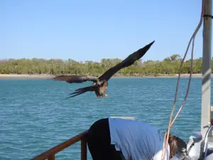 The Ferryman River Cruises