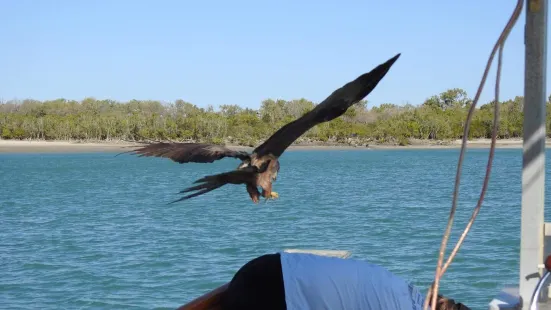 Ferryman River Cruises Karumba