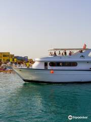 Orca Dive Club El Gouna - Abu Tig Marina