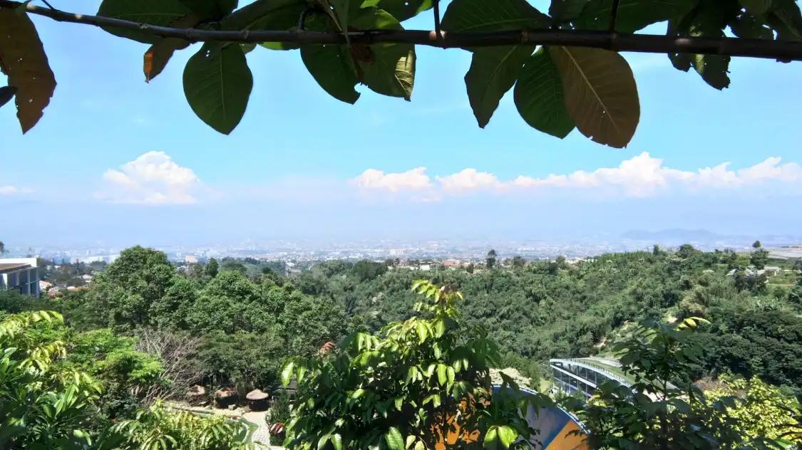 Hotels near Elephant Village