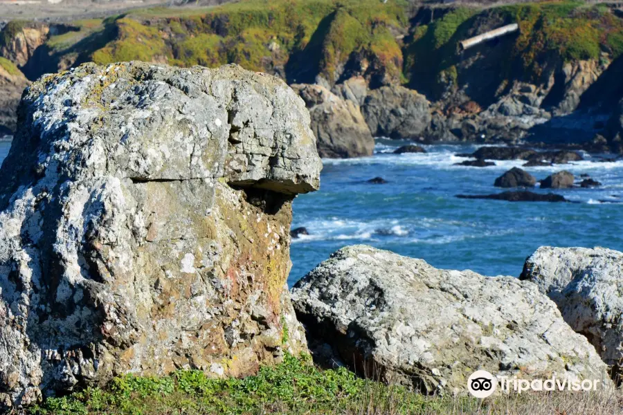 Noyo Headlands Park