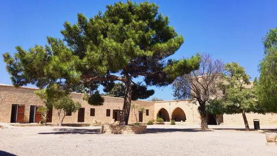 Archaeological Site of Palaepaphos