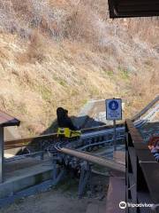 Mancheonha Alpine Coaster