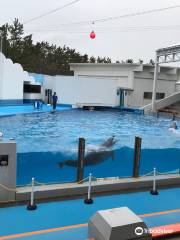 新潟市水族館 マリンピア日本海