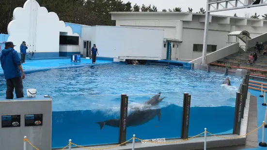 Niigata City Aquarium Marinepia Nihonkai (Sea of Japan)