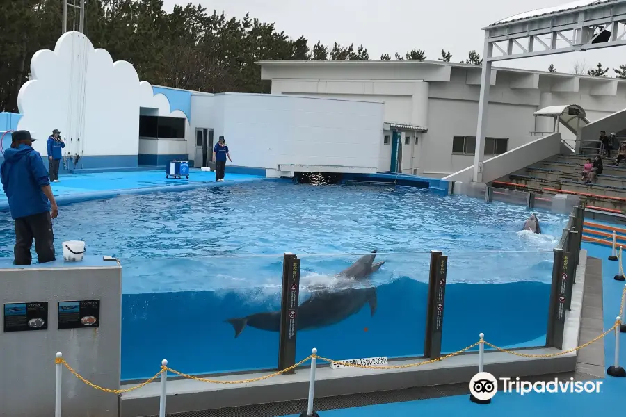 新潟市水族館 マリンピア日本海