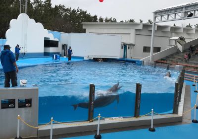 新潟市水族館 マリンピア日本海