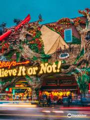 Ripley's Believe It or Not!