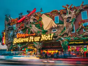 Ripley's Believe It or Not