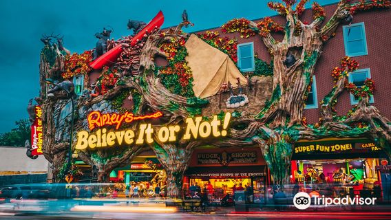 Ripley's Believe It or Not!