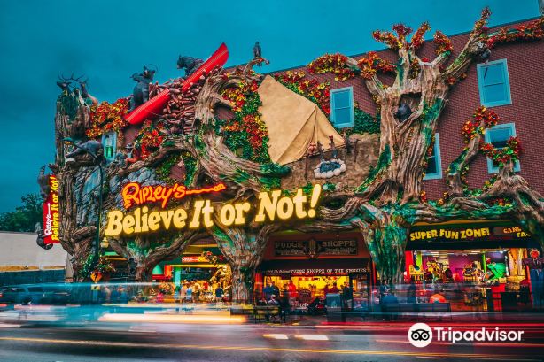 Ripley's Believe It or Not!