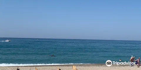 Archelon Sea Turtle Protection Society of Greece