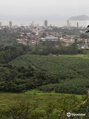 Trilha Ecológica Morro do Quininho