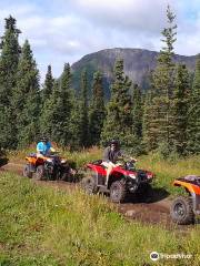 Glacier View ATV Tours