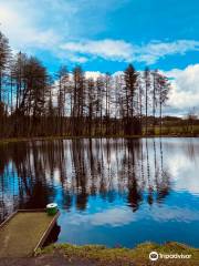 Pinewood Trout Fishery