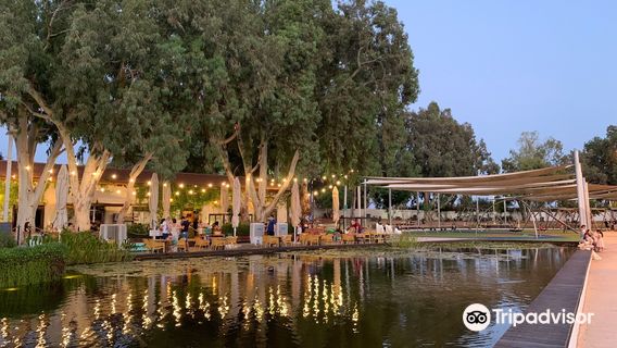 Gan B’Ivrit – Rishon LeTsiyon Park