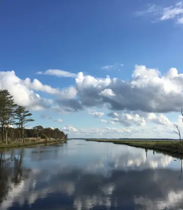 デューイー・ビーチ