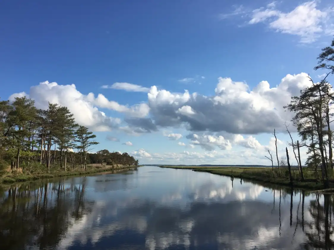 Hotels near Dewey Beach