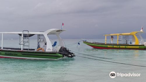 Mola Mola Dive Lembongan