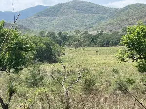 Chebera Churchura National Park