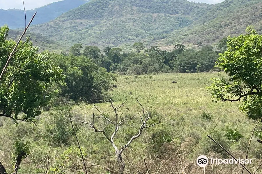 Chebera Churchura National Park